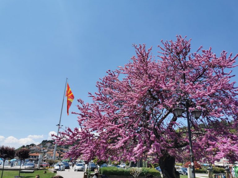 Prices for transfer services in Macedonia and the Balkans